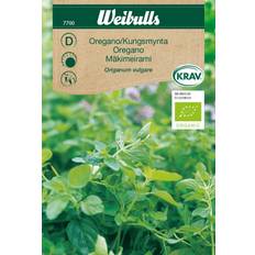 Weibulls Oregano Grøntsagsfrø