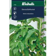 Stevia Weibulls Stevia Rebaudiana Grøntsagsfrø