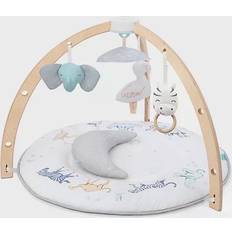 Aden + Anais Baby Activity Gym