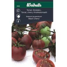 Weibulls Tomat Black Cherry Grøntsagsfrø