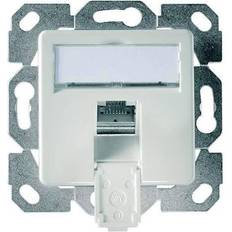 Telegärtner Telegaertner Network outlet Flush mount Insert with main panel CAT 6 1 port Alpine white