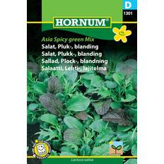 Hornum Asia Spicy Greens Mix Grøntsagsfrø
