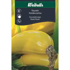 Krukker, Planter & Dyrkning Weibulls Squash Gold Rush Grøntsagsfrø