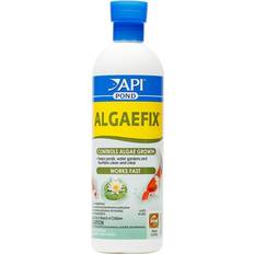 API Pond Algaefix