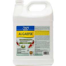API Pond Algaefix
