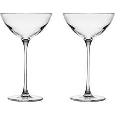 Lave-vaisselle Sécurisé Verres à cocktail Nude Glass Savage Coupetini Verre à cocktail 2pcs