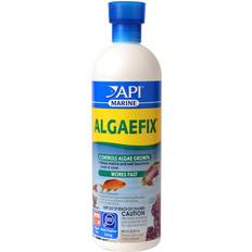 API Marine Algaefix