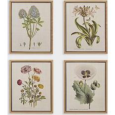 Yellow Framed Art Martha Stewart Herbal Botany 4pcs Framed Art 17.8x21.8" 4pcs