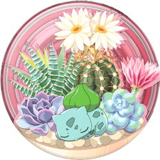Bulbasaur Terrarium