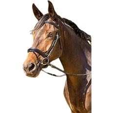 Shires Avignon Aspen Flash Bridle