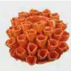 Orange Candle Holders A&B Home Open Coral Candle Holder 4.3"