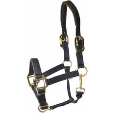 Gatsby Premium Nylon Halter With Padded Leather Overlay