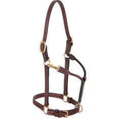 Weaver Double Buckle Crown Horse Halter