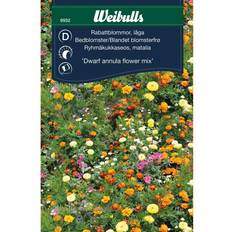 Weibulls Rabattblommor Blomsterfrø