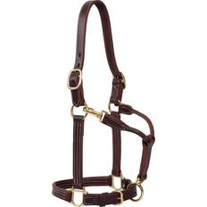 Weaver Oiled Canyon Rose Track Horse Halter