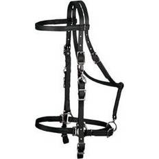 Halters & Lead Ropes Weaver Brahma Synthetic Halter Bridle