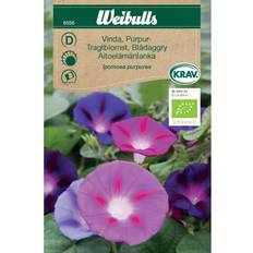 Weibulls Vinda Purpurea Blomsterfrø
