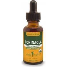 Vitamins & Supplements Herb Pharm Echinacea Glycerite 1 oz Liquid