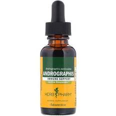 Andrographis Herb Pharm Andrographis 1 fl oz (30 ml)