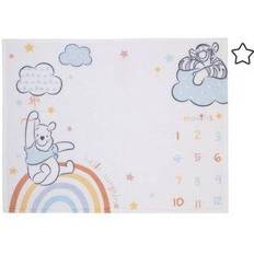 Disney Winnie The Pooh Milestone Baby Blanket