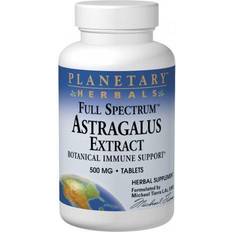 Planetary Herbals Full Spectrum Astragalus Extract 500mg 120 Stk.