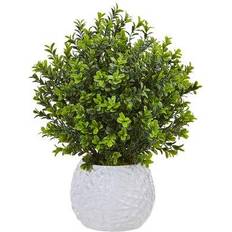 Boxwood Evergreen Artficial Plant in White Vase Vase
