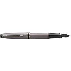 Artes y Manualidades Waterman Expert Metallic Silver RT Fountain pen M Blue