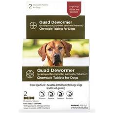 Bayer Quad Dewormer Chewable Tablet for Dogs