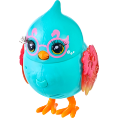 Bird Surfy Chirps