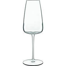 Luigi Bormioli Bormiloi, Talismano Prosecco Glasses, Set of 4 Champagne Glass