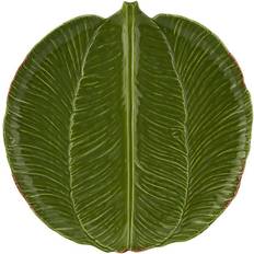 Banana Madeira 35 cm