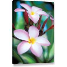 Posters Artwall Kathy Yates Maui Plumeria Poster 24x36"