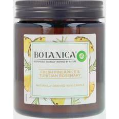 Air Wick Doftljus Air Wick BOTANICA pineapple & tunisian rosemary 205 gr Doftljus