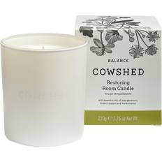 Cotton Scented Candles Cowshed Balance Restoring Candle, 220g Scented Candle