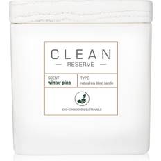 Clean Winter Pine (227g) Doftljus