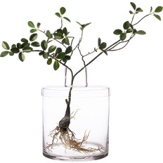 Med lock Vaser Ernst Glass vase with lid Vas 28cm