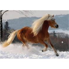 Haflinger Horse 2 239 Pieces