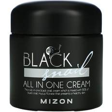 Cure della pelle Mizon Black Snail All In One Cream 75 ml 75ml