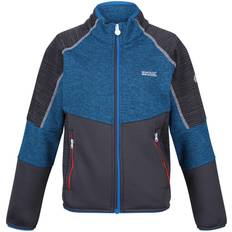 Regatta Kid's Oberon V Softshell Jacket - Imperial Blue/India Grey