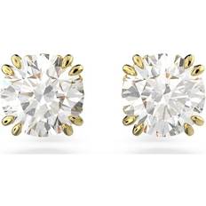 Constella Round Cut Stud Earrings - Gold/Transparent