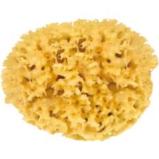 Exfolierande Badsvampar Croll & Denecke Natural Sponge 15cm