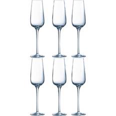 Chef & Sommelier Sublime Champagne Glass 21cl 6pcs