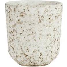 Olsson & Jensen Tassen & Becher Olsson & Jensen Salt Mugg 8,5 cm Beige/Vit Becher