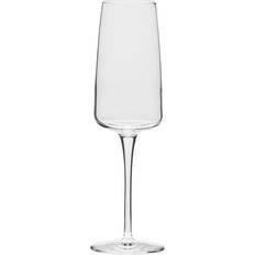 Bormioli Rocco Champagneglas Bormioli Rocco Nexo 36 cl Champagneglas