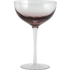 Violet Verres à cocktail Nordal Verres Garo Violet - Set De 8 Pièces Verre à cocktail