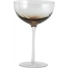 Marron Verres à cocktail Nordal Verres Garo Marron - Set of 8 Verre à cocktail