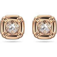 Swarovski Dulcis Stud Earrings - Rose Gold/Transparent