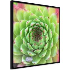 Inredningsdetaljer Arkiio Affisch Succulent (Square) [Poster] 30x30 Poster