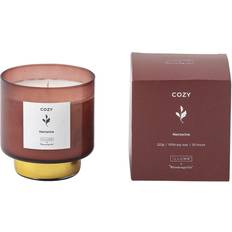 Coton Bougies Parfumées Bloomingville Cozy Nectarine Bougie Parfumée 222g