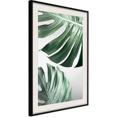 Inredningsdetaljer Arkiio Affisch Monstera Leaves [Poster] 40x60 Poster